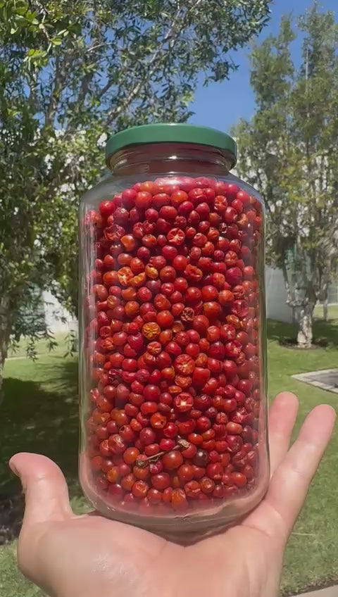 Chiltepin Rojo